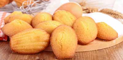 madeleines dax